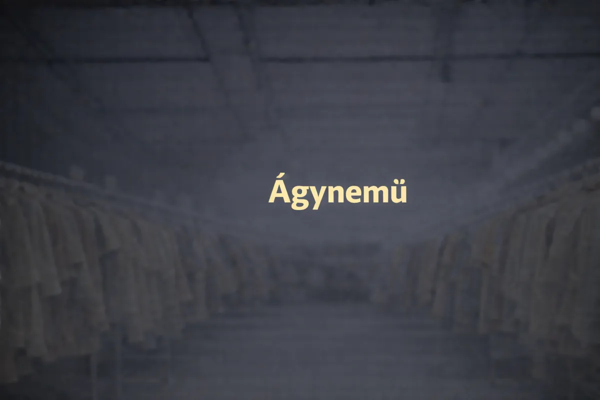 Ágynemű